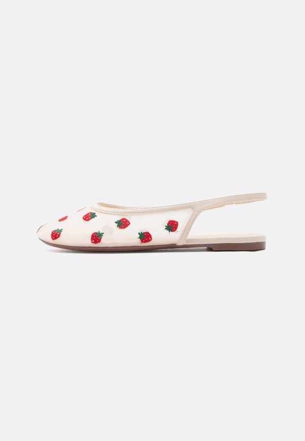 ALDO DROPLET