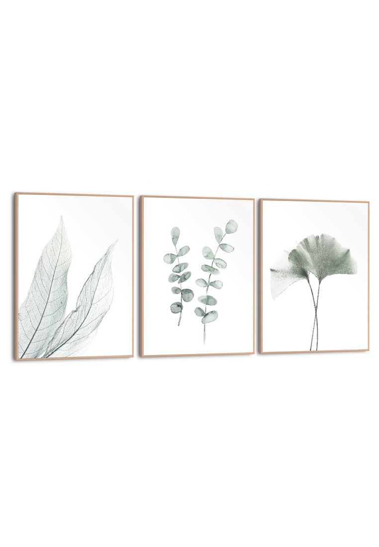 Orange Wallz PURE 3 PACK