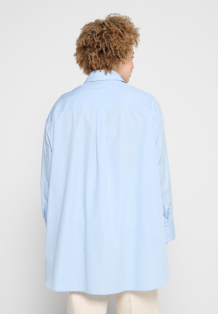 Selected SLFMILO-ICONIC