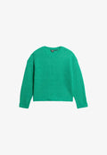 Superdry & Co CREW NECK   - Jumper - drop kick green twist