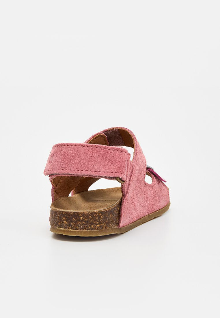 Wheat CLARA