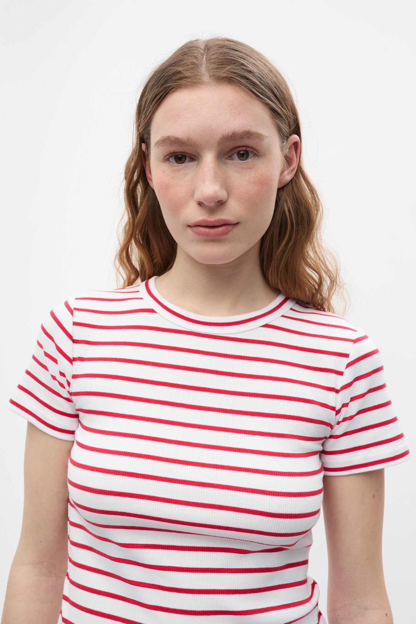 Envii ALLY CROP TEE