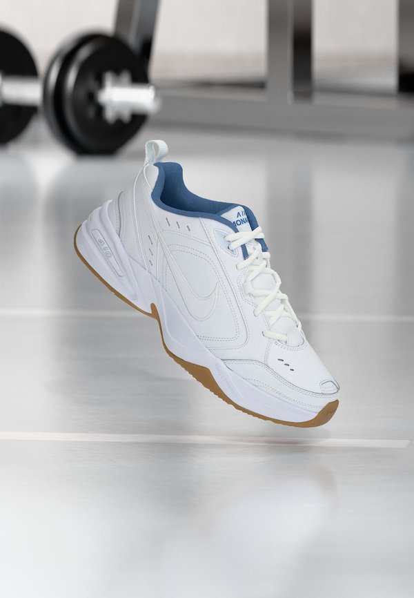 Nike Performance AIR MONARCH IV - Training shoe - white/indigo storm/light brown