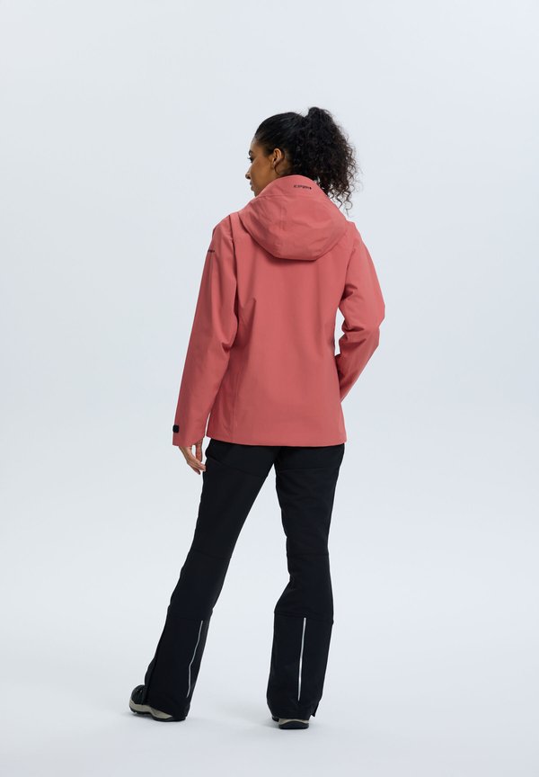 Icepeak DEBLOIS