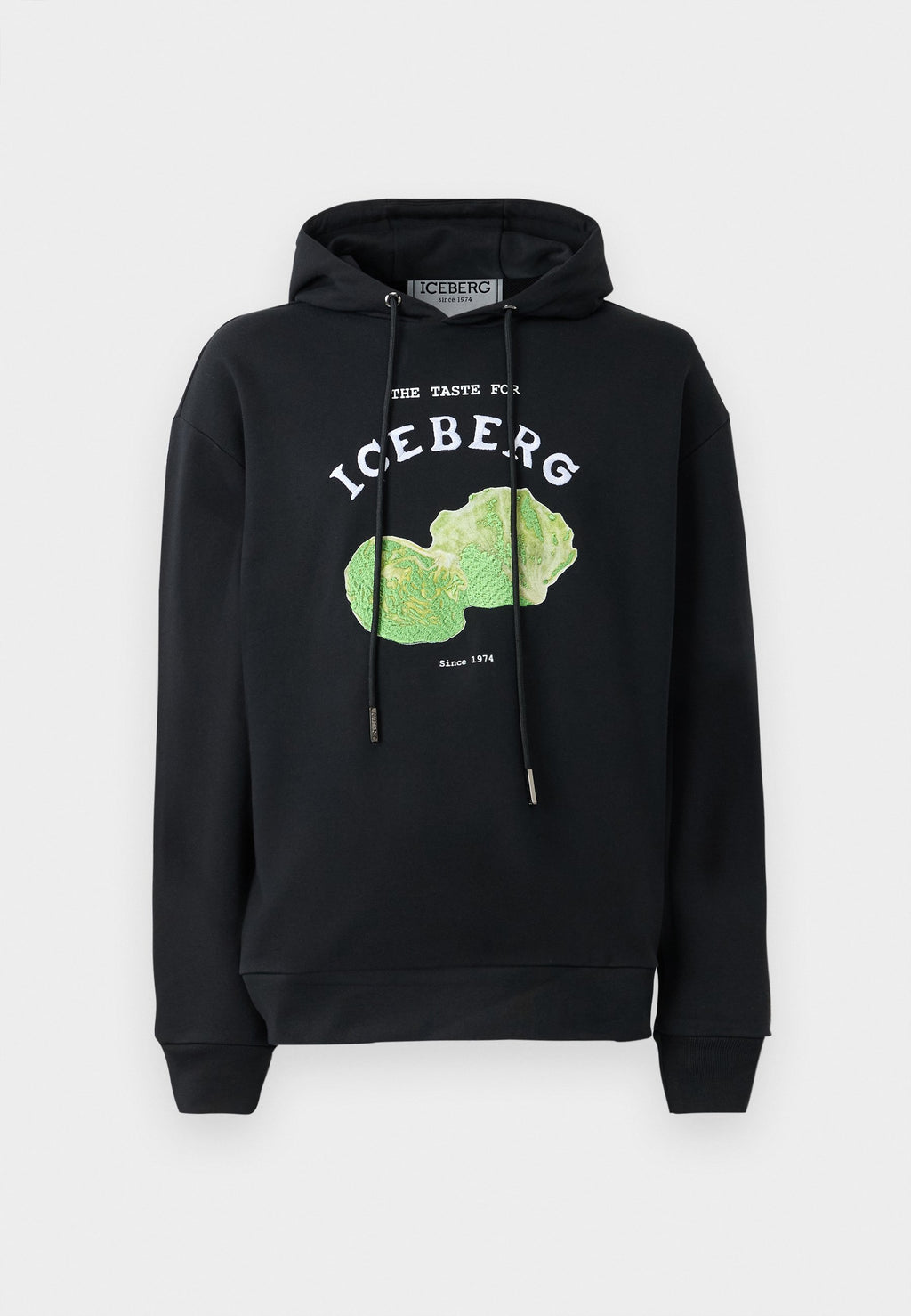 Iceberg