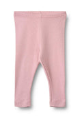 Wheat RIPP LEGINS MADDY