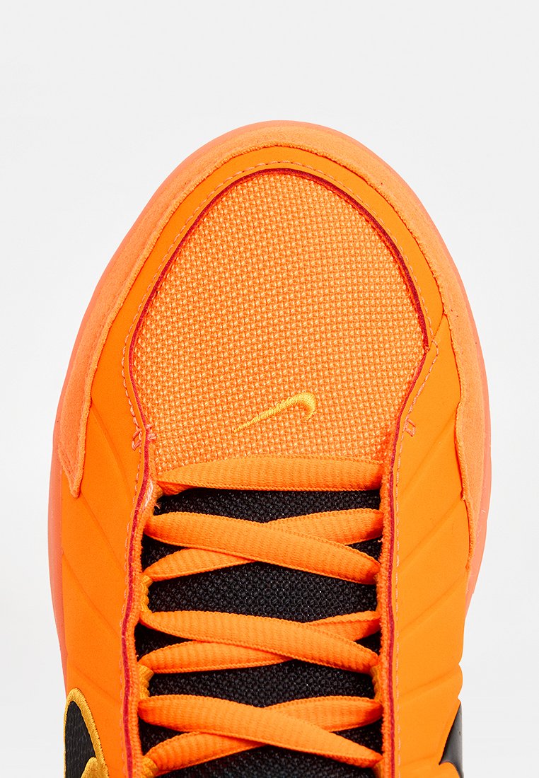 Nike Performance LEBRON WITNESS IX