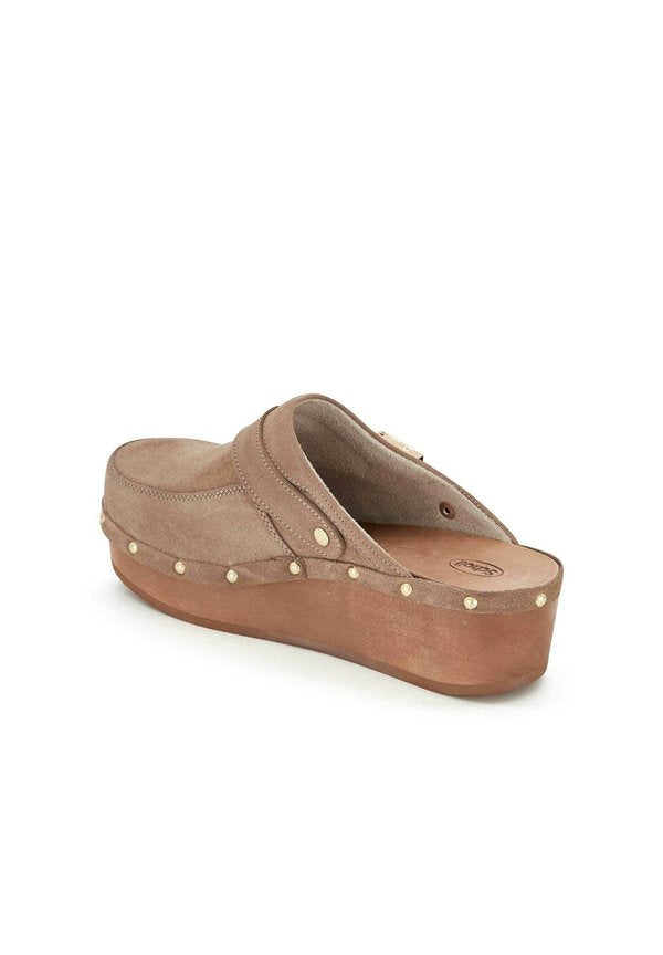 Scholl  WITHNEY