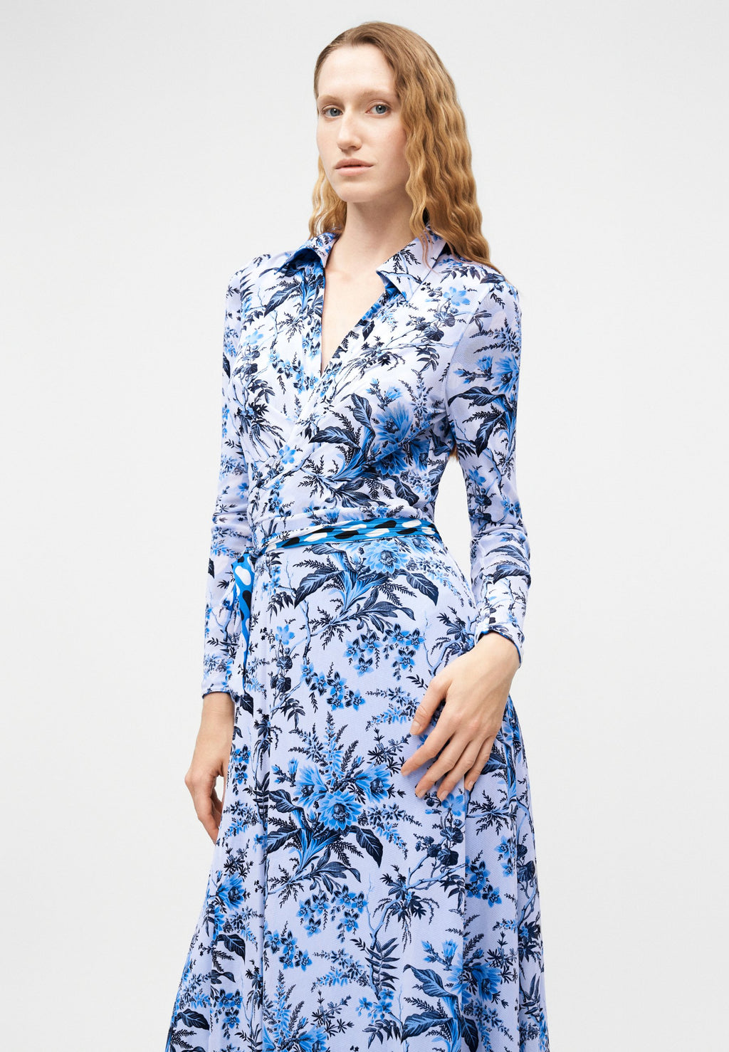 Diane von Furstenberg PHOENIX REVERSIBLE DRESS