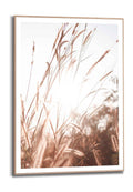 Orange Wallz SUNLIGHT GRASSES