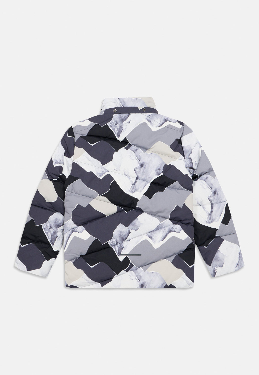 Icepeak LARNED
