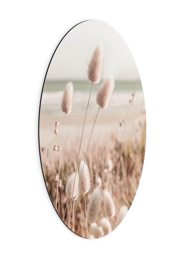 Orange Wallz GRASSES ON BEACH