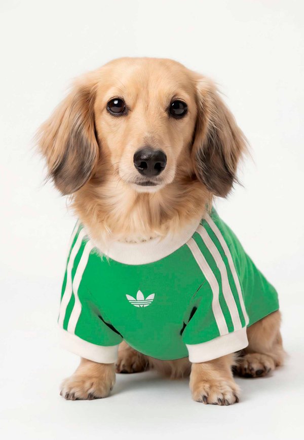 adidas Originals PET CALI TEE - Pet accessory - flash lime off white