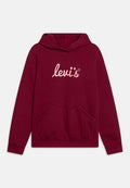 Levi's® POSTER LOGO HOODIE