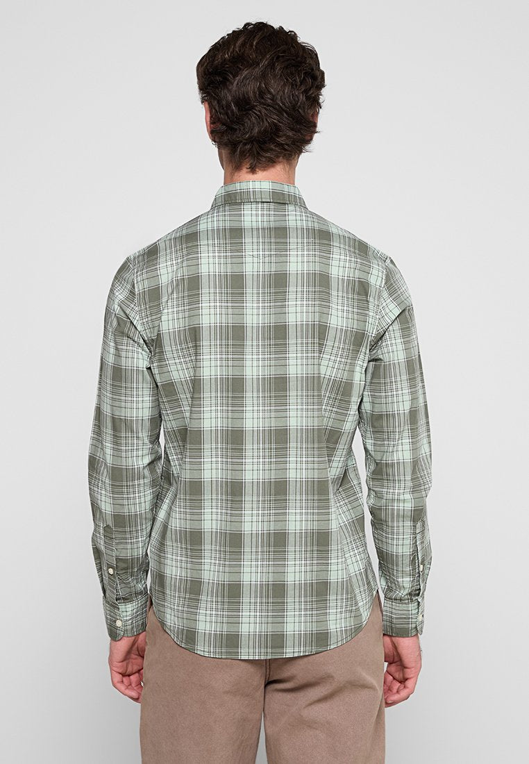 Lee REGULAR