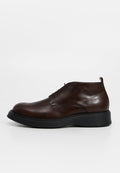 Pollini