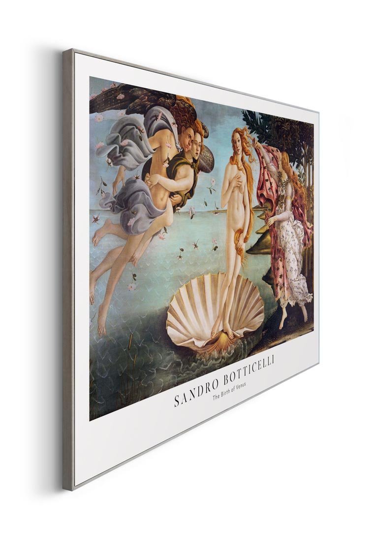Orange Wallz THE BIRTH OF VENUS