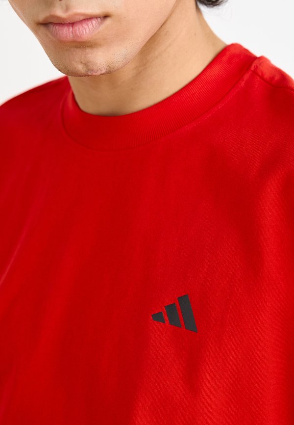 adidas Originals ANTED TEE