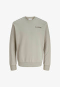 Jack & Jones Sweats Plus Size Printed Sweats - Sweatshirt - moonbeam