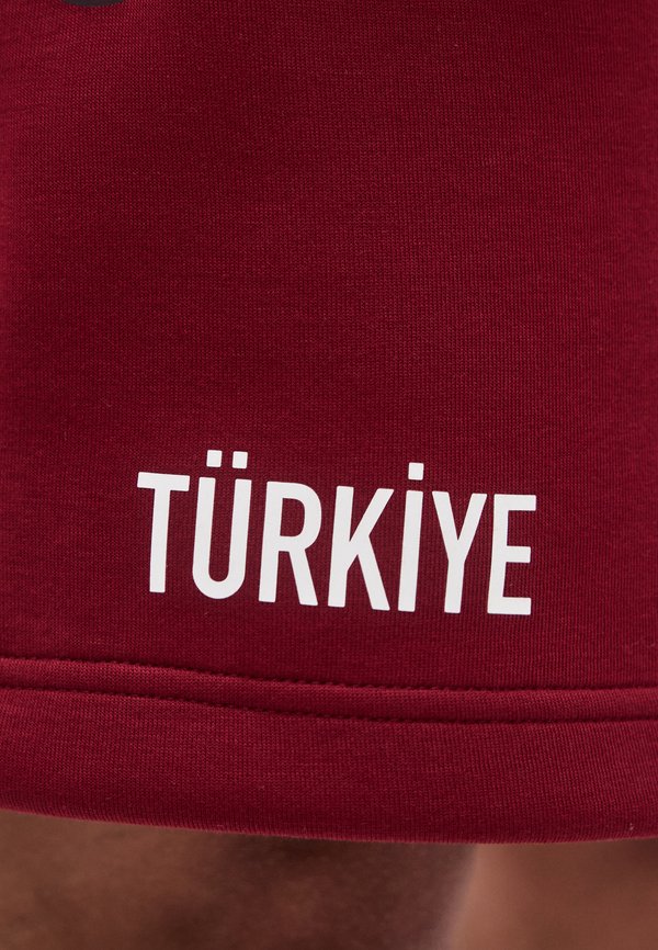Nike Performance TURKEY MENS SHORT