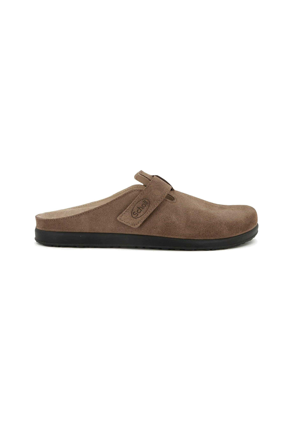 Scholl
