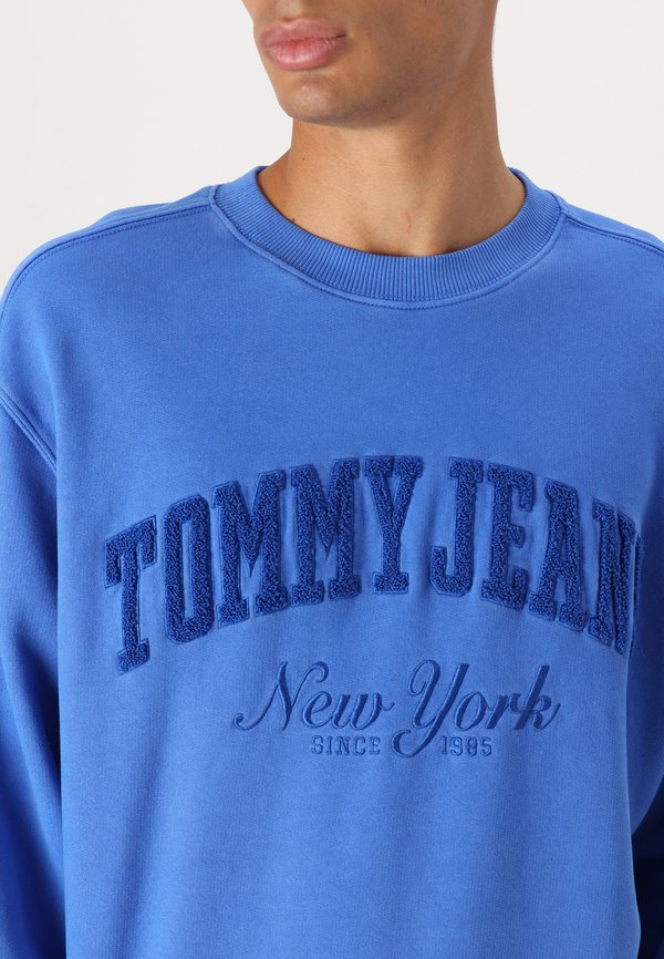 Tommy Jeans VINTAGE VARSITY CREW