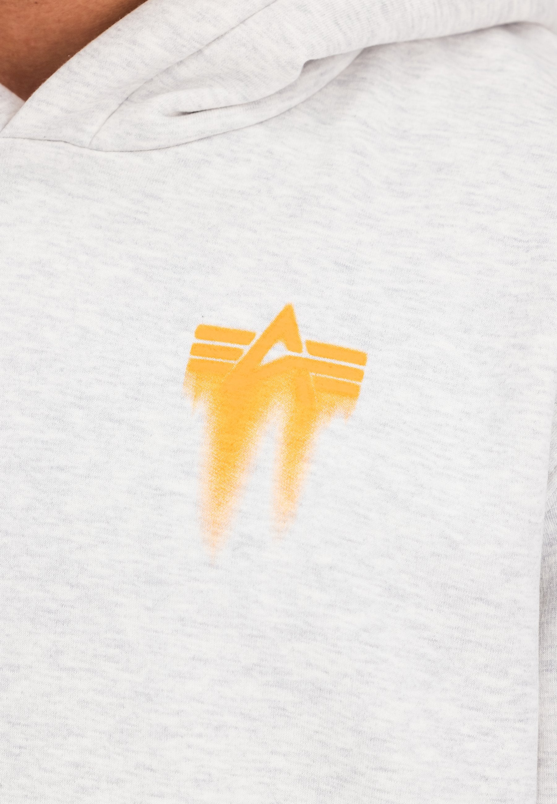 Alpha Industries SPRAY PRINT