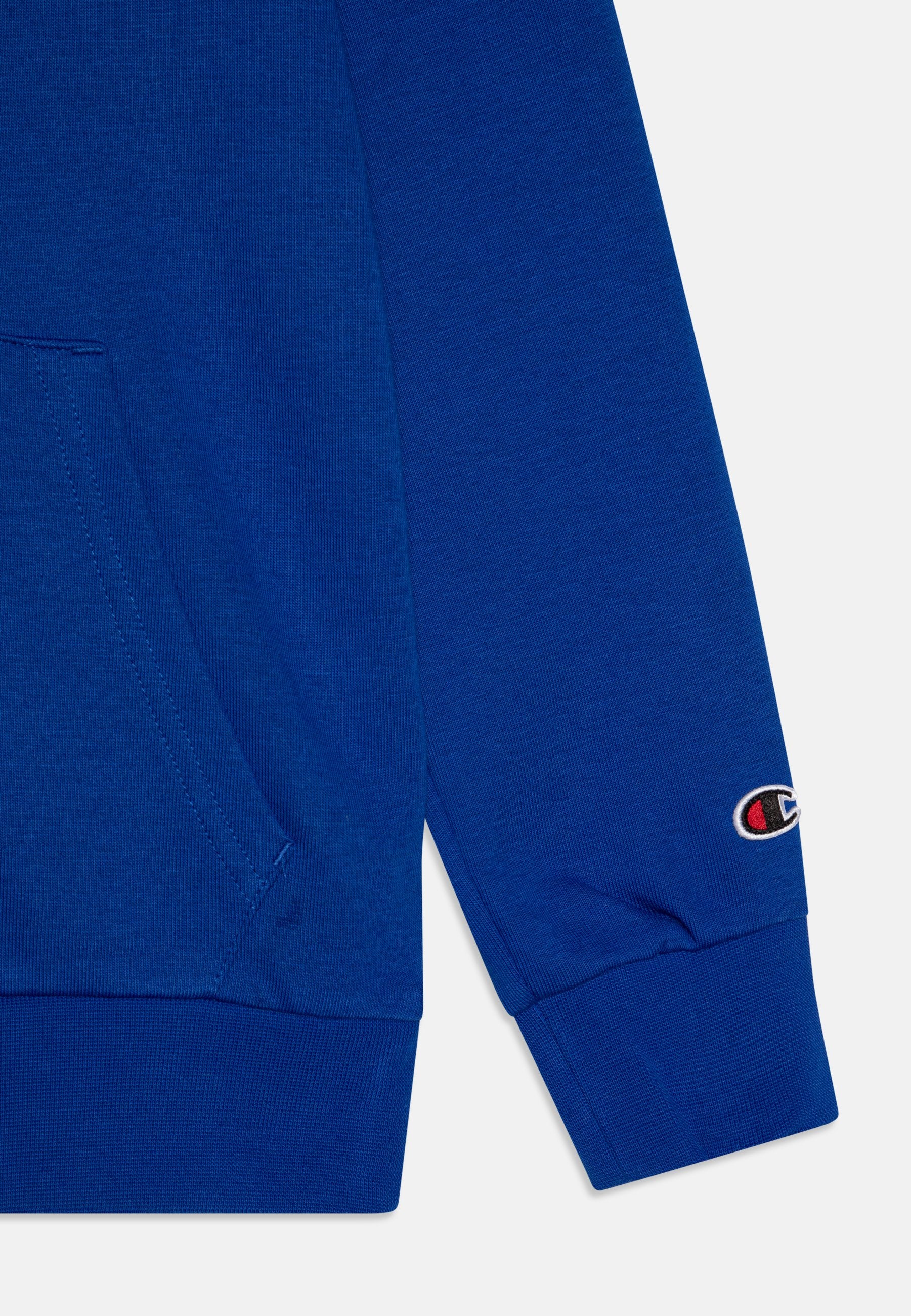 Champion ICONS HOODIE WITH SMALL LOGO