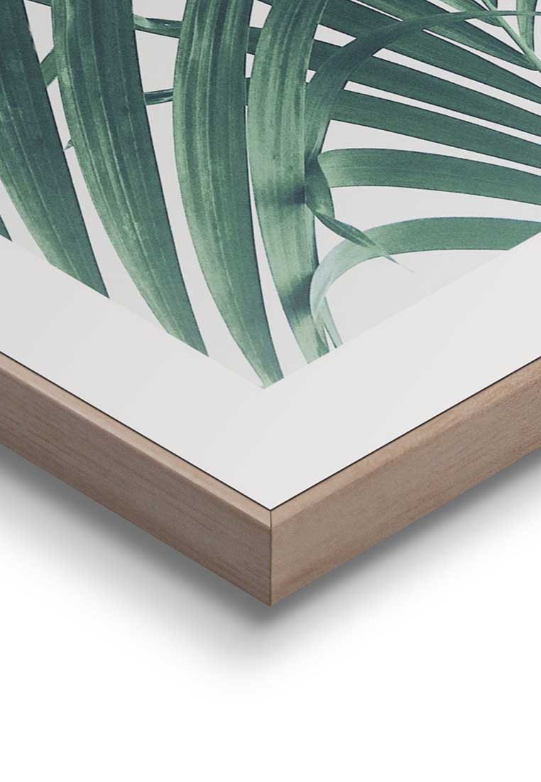 Orange Wallz PALM TREE LEAF