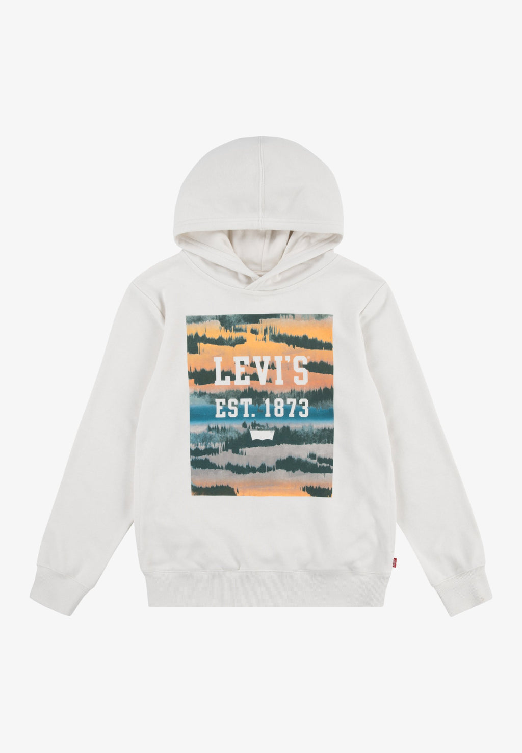 Levi's® LANDSCAPE BOX HOODIE