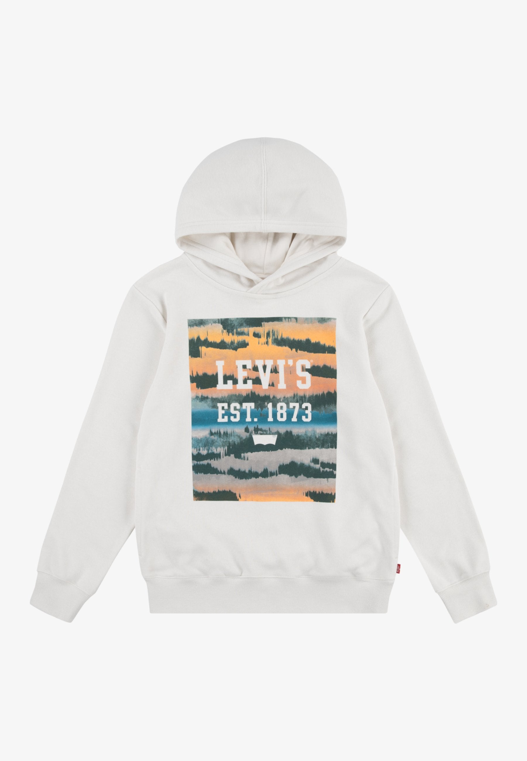 Levi's® LANDSCAPE BOX HOODIE