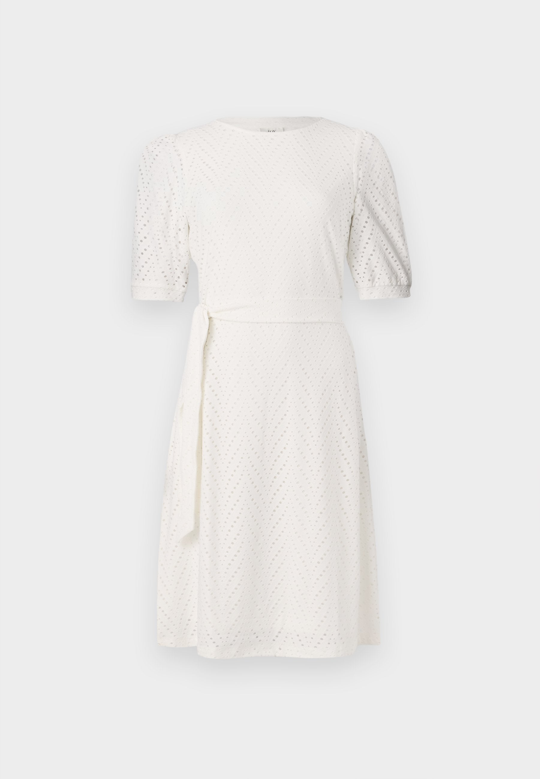 JDY JDYCARLA CATHINKA BELT DRESS