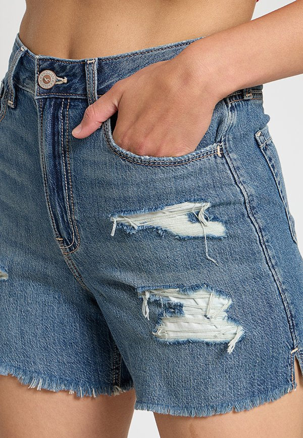 Hollister Co.