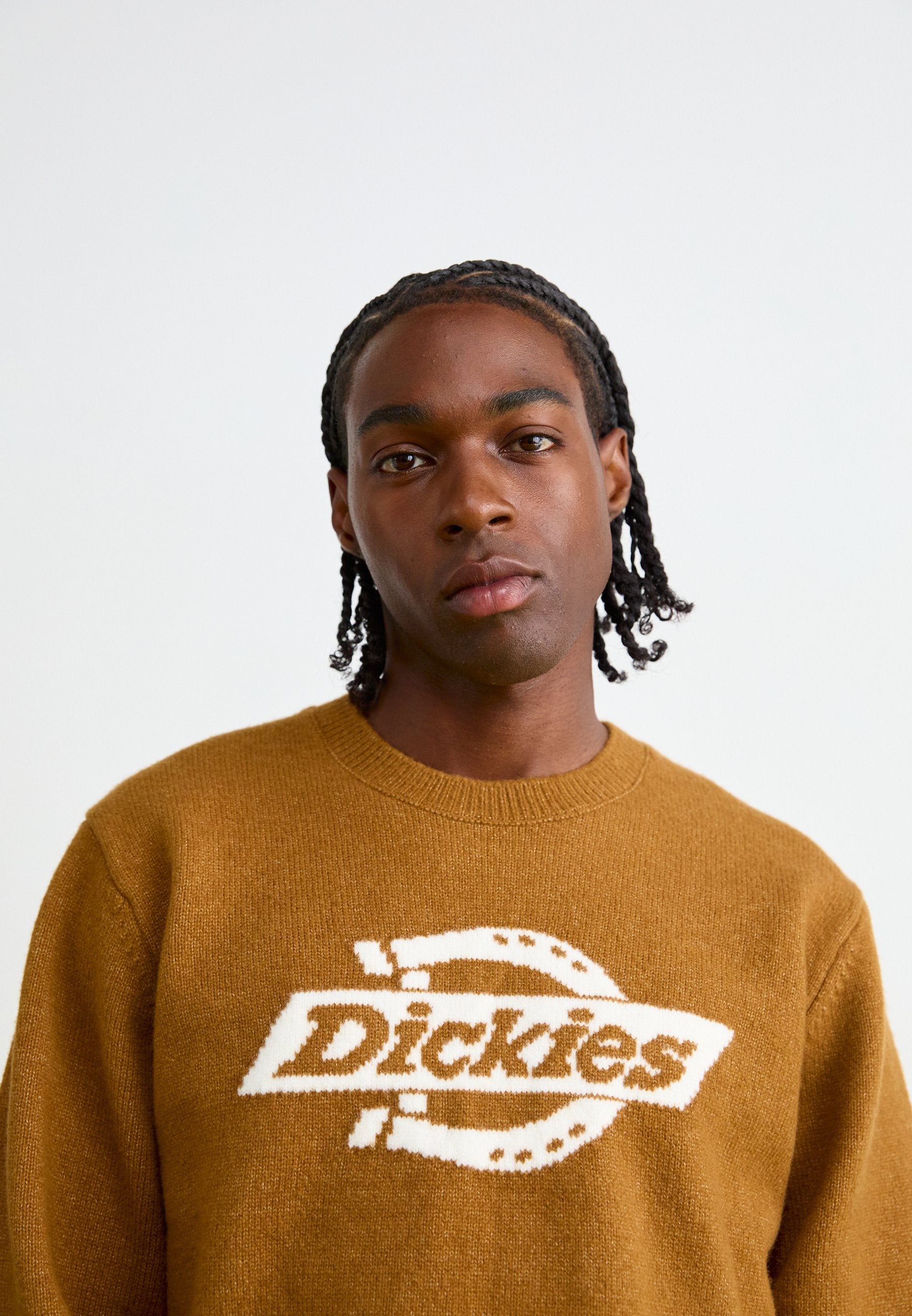 Dickies RUSTON SWEATER