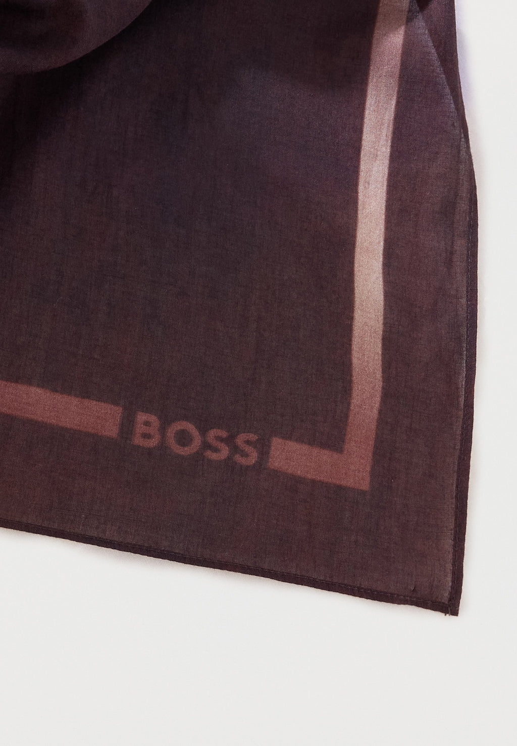 BOSS XANET
