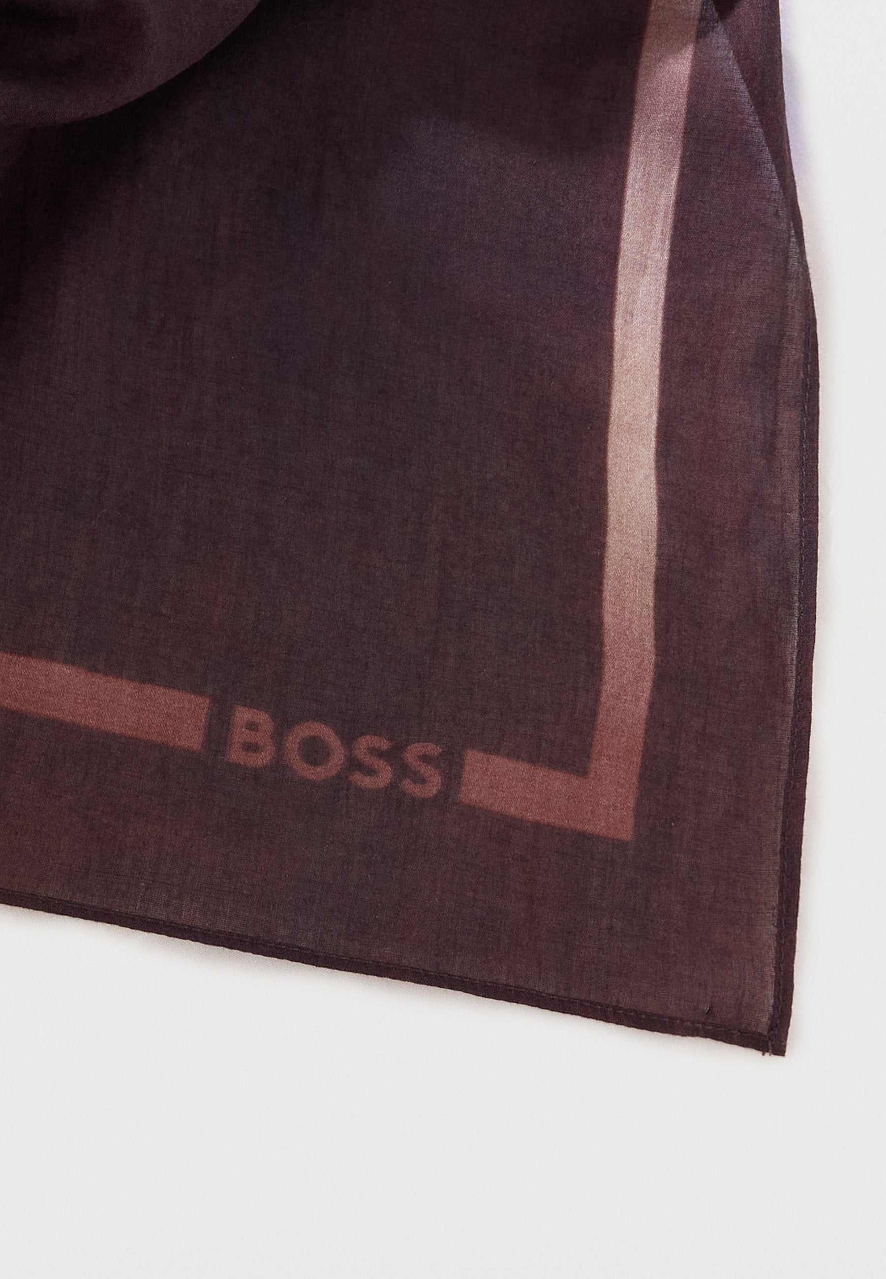 BOSS XANET