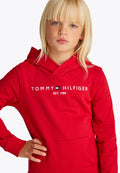 Tommy Hilfiger LOGO EMBROIDERY TERRY HOODY