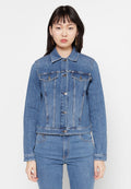 Love Moschino