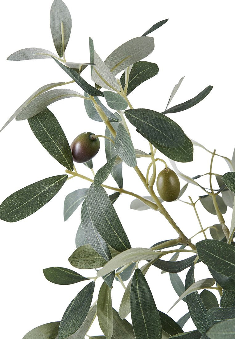 House Nordic OLIVE TREE