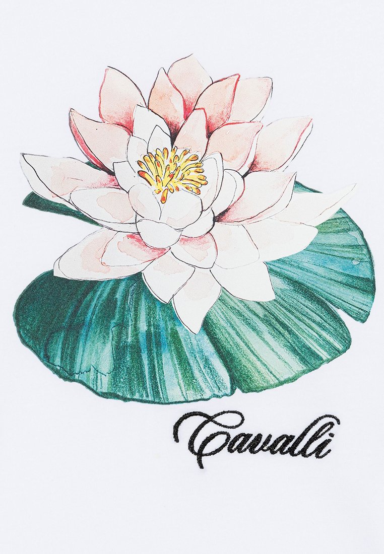Roberto Cavalli Junior