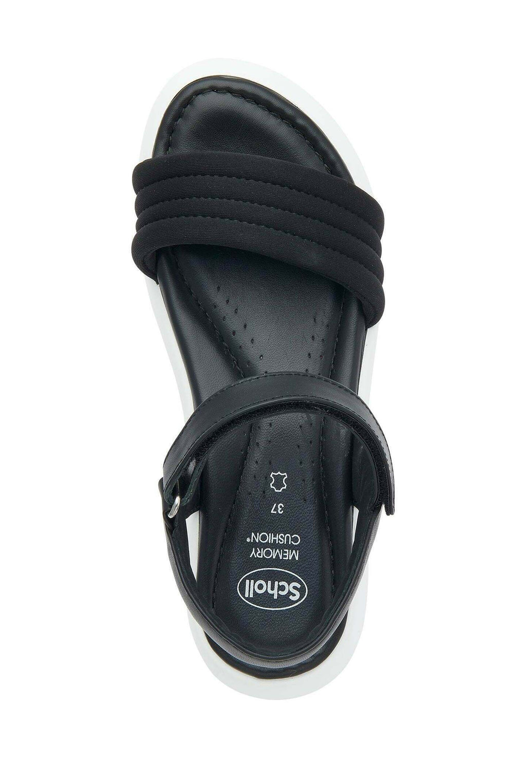 Scholl BOCA