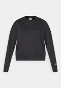 Champion ICONS TONAL LOOSE FIT CREWNECK