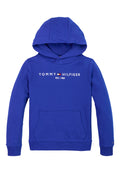 LOGO EMBROIDERY TERRY HOODY Media 1