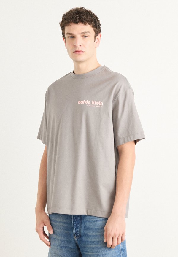 Calvin Klein Jeans BAUHAUS - Print T-shirt - steeple gray