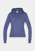 Champion ICONS TONAL HOODIE