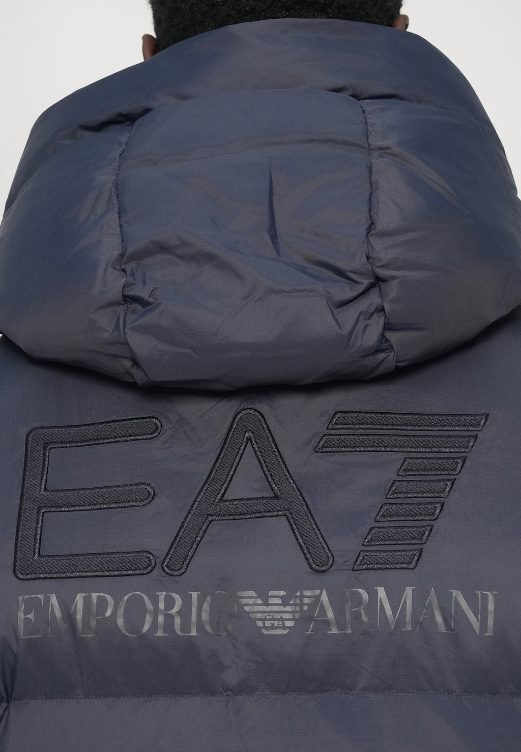 MOUNTAIN POLAR BIG LOGO Media 7
