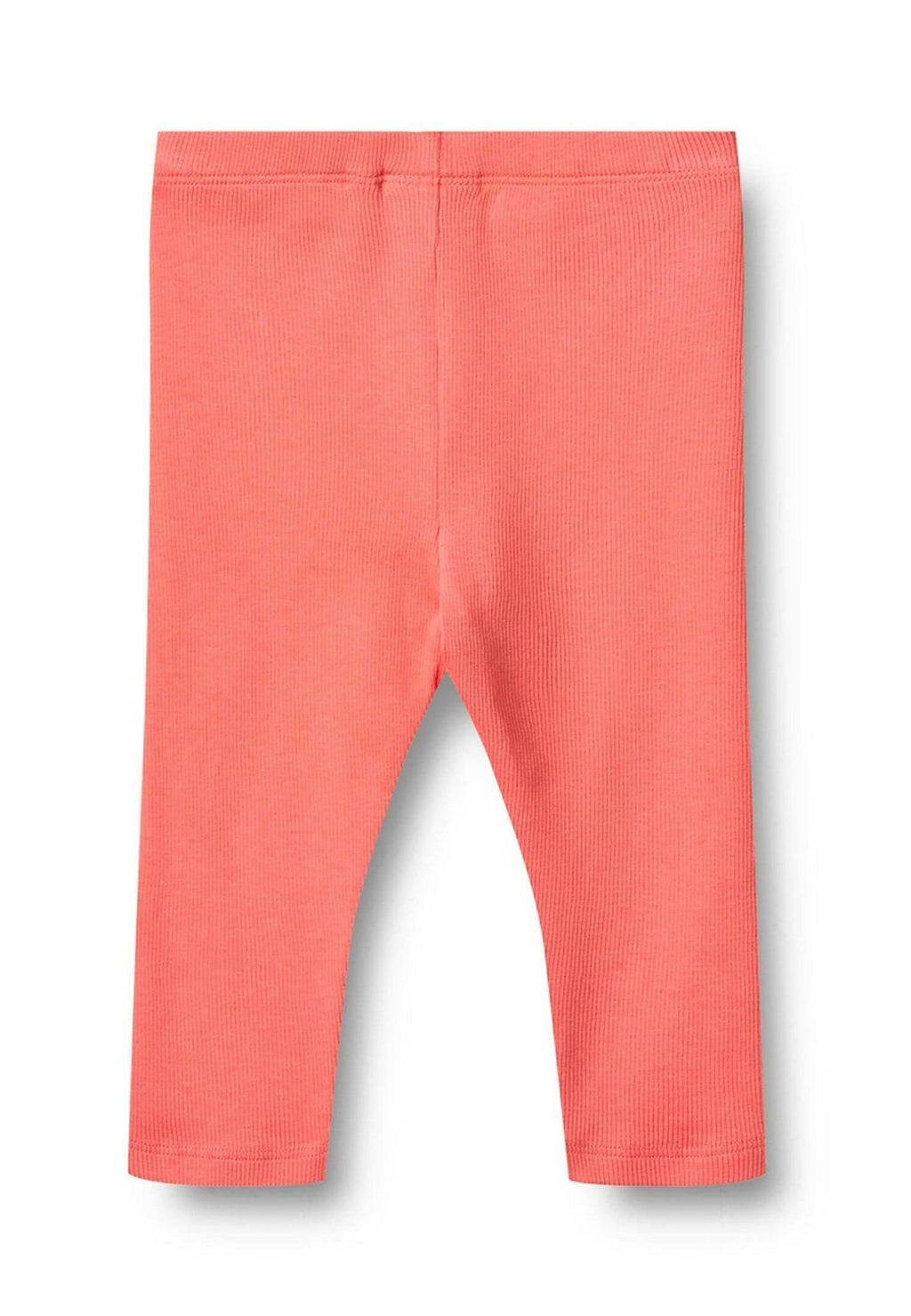 Wheat RIPP LEGINS MADDY