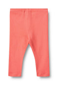 Wheat RIPP LEGINS MADDY