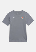 Graues Nike-T-Shirt mit kurzen Ärmeln, weißem Nike-Logo und einem weißen "CFC"-Wappen mit orangefarbenem Löwen auf der linken Brust.