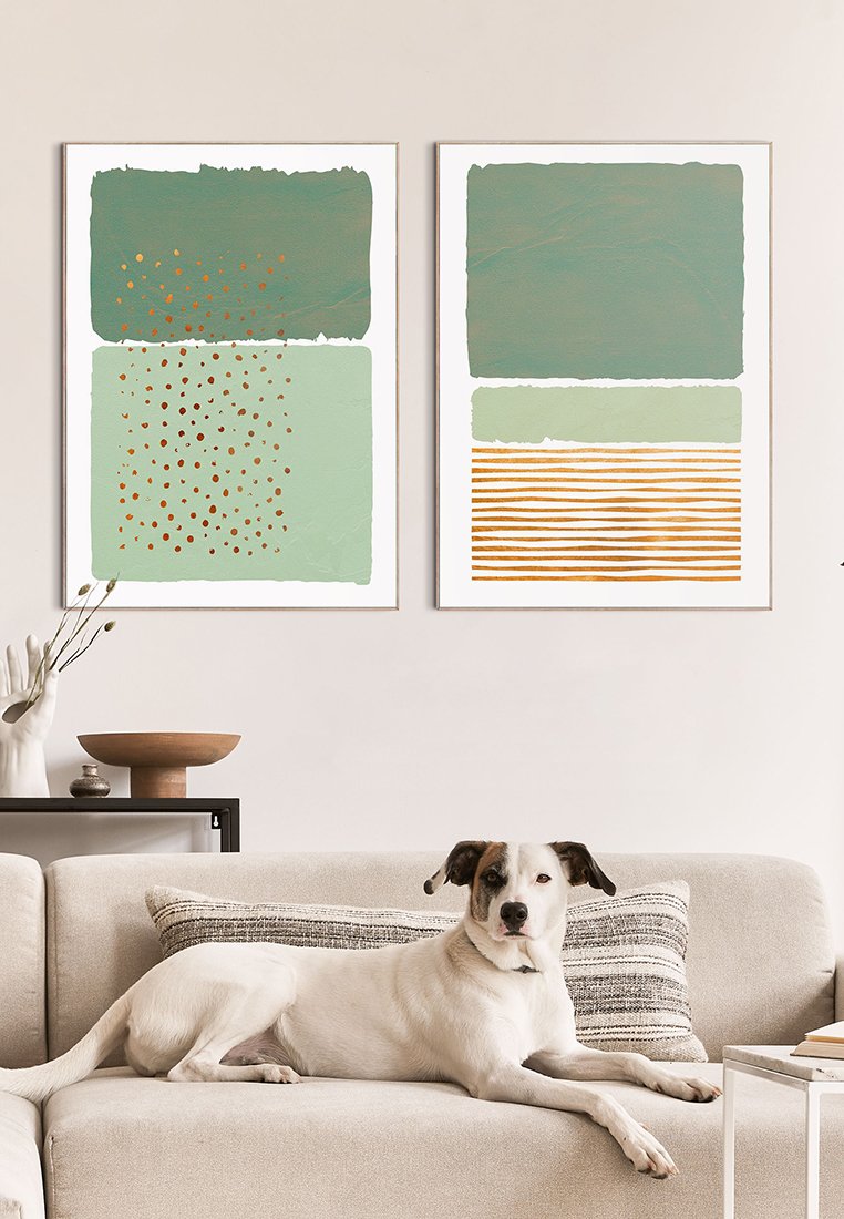 Orange Wallz SET